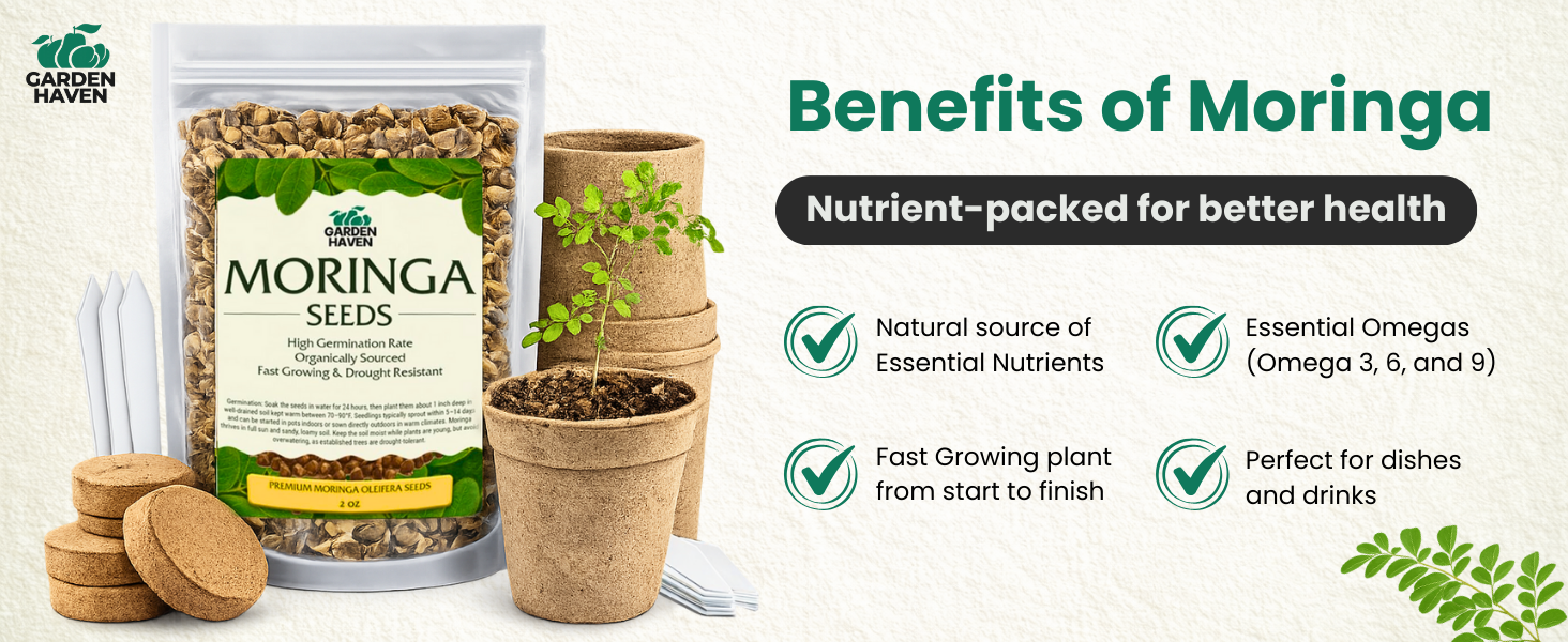 Moringa Oleifera Growing Kit, Moringa Seeds Complete Starter Set with 2 oz Seeds, 5 Peat Pots, Soil Discs, Plant Markers, Fast Growing Drought Resistant
