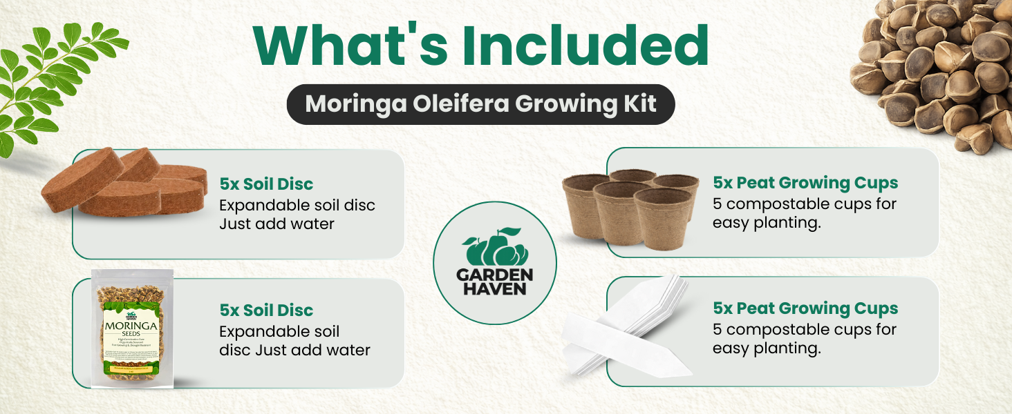 Moringa Oleifera Growing Kit, Moringa Seeds Complete Starter Set with 2 oz Seeds, 5 Peat Pots, Soil Discs, Plant Markers, Fast Growing Drought Resistant