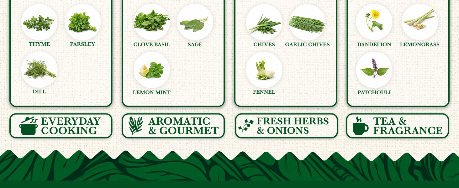 20 HERB Seeds Variety Pack - Complete Grow Kit Culinary Herbs Indoor Outdoors Herb Seeds, Basil, Oregano, Mint, Thyme & More Individually Seed Packets Starter Kit