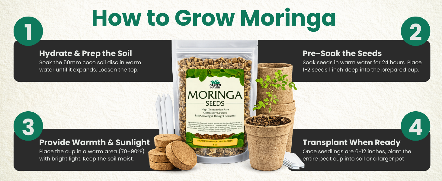 Moringa Oleifera Growing Kit, Moringa Seeds Complete Starter Set with 2 oz Seeds, 5 Peat Pots, Soil Discs, Plant Markers, Fast Growing Drought Resistant