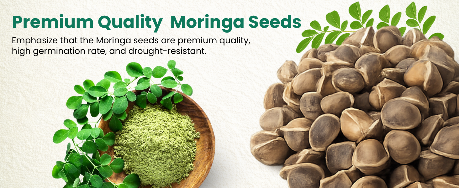 Moringa Oleifera Growing Kit, Moringa Seeds Complete Starter Set with 2 oz Seeds, 5 Peat Pots, Soil Discs, Plant Markers, Fast Growing Drought Resistant