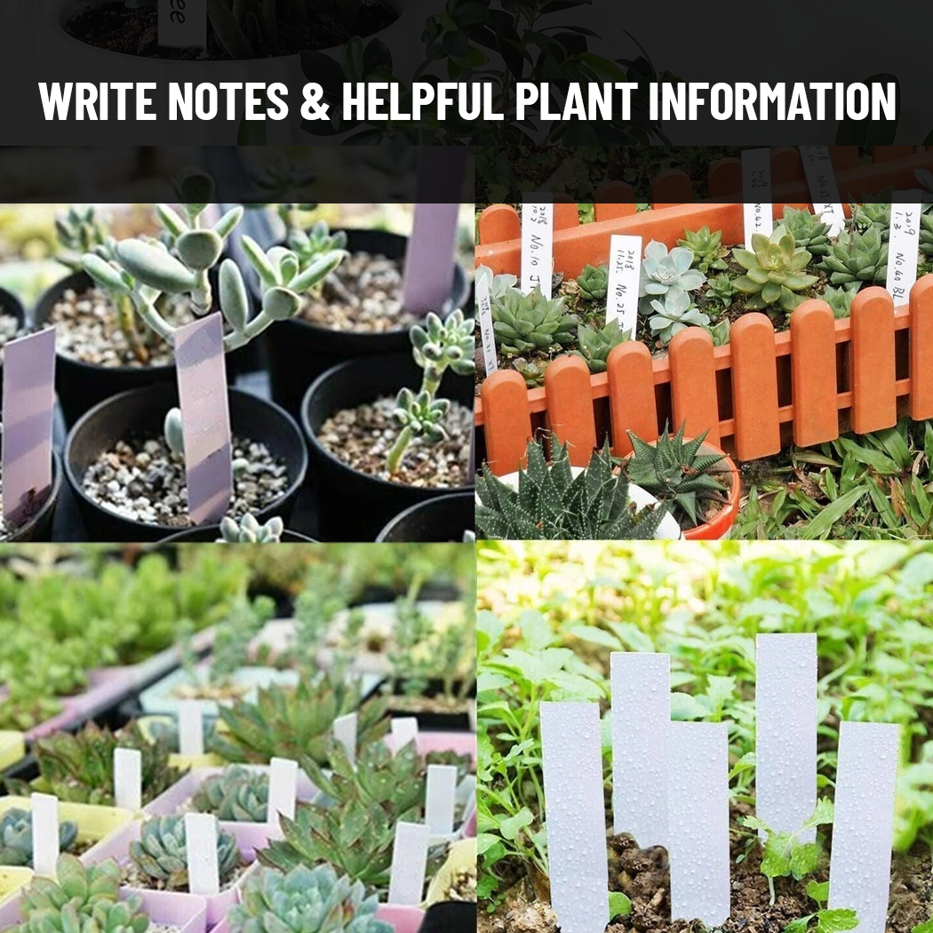 Plant Markers Labels 4 Inch Plastic Plant Waterproof Durable Seedlings Garden Labels Markers Nursery Plant Tags Seed Labels Plant Label Stakes Plant Markers for Outdoor Garden (100) - Garden Haven