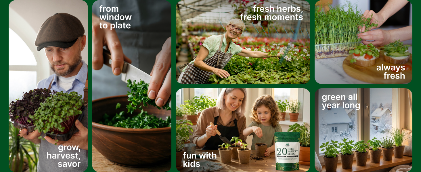 20 HERB Seeds Variety Pack - Complete Grow Kit Culinary Herbs Indoor Outdoors Herb Seeds, Basil, Oregano, Mint, Thyme & More Individually Seed Packets Starter Kit