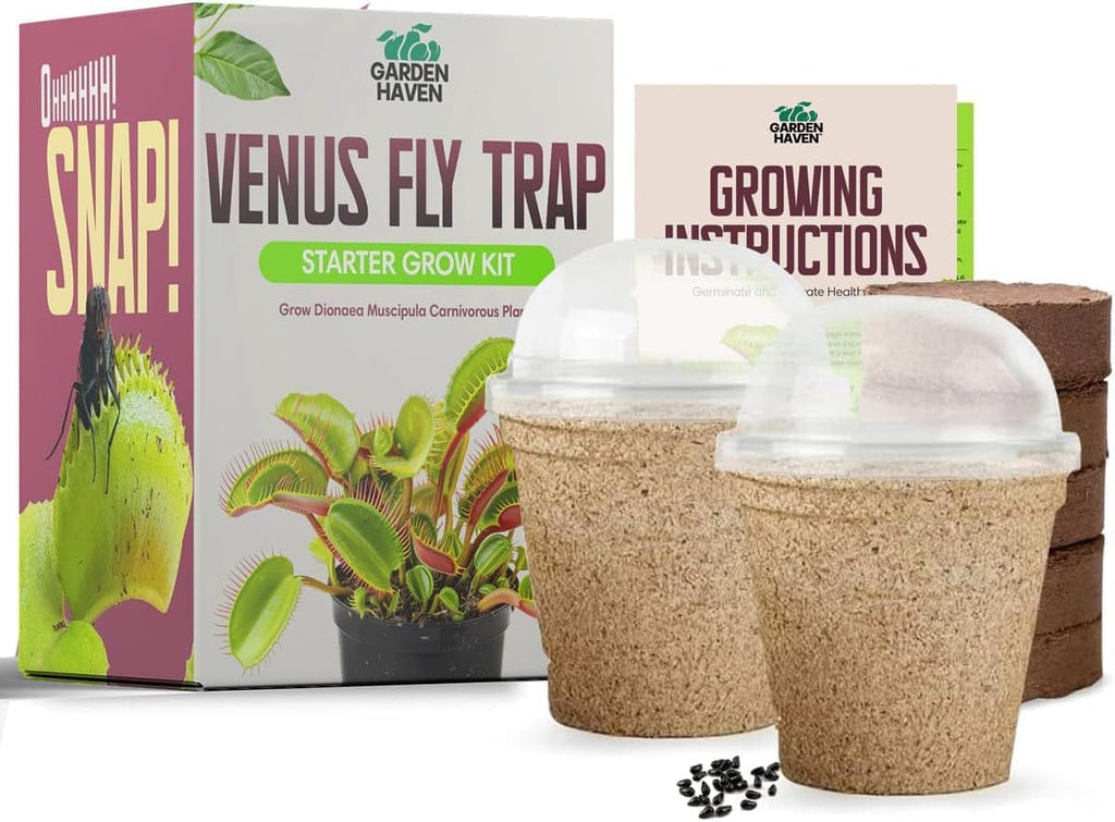 Venus Fly Trap Seeds Growing Starter Kit All in One Carnivorous Plant - Chamber Germination Dionaea Muscipula Perfect to Catch Flies Beginner (2 Pack) - Garden Haven