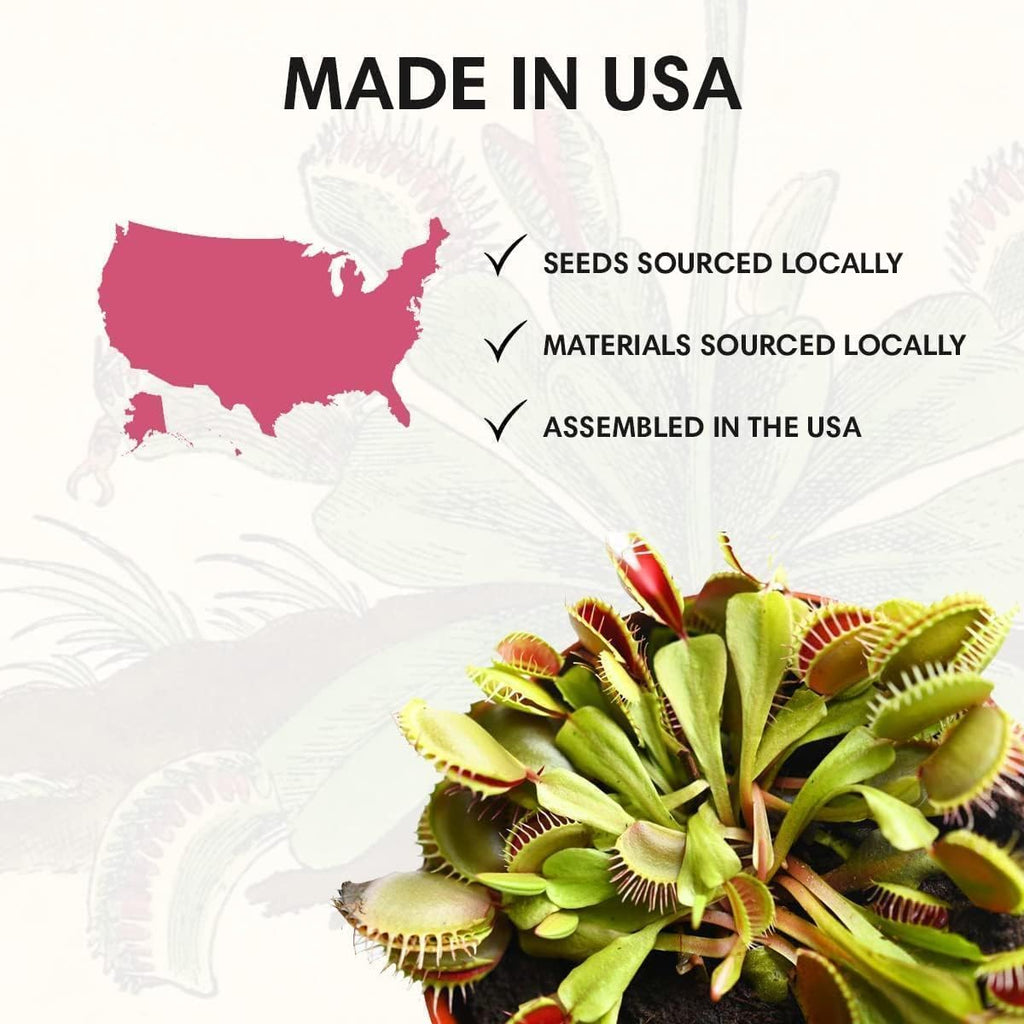 Venus Fly Trap Seeds Growing Starter Kit All in One Carnivorous Plant - Chamber Germination Dionaea Muscipula Perfect to Catch Flies Beginner (2 Pack) - Garden Haven