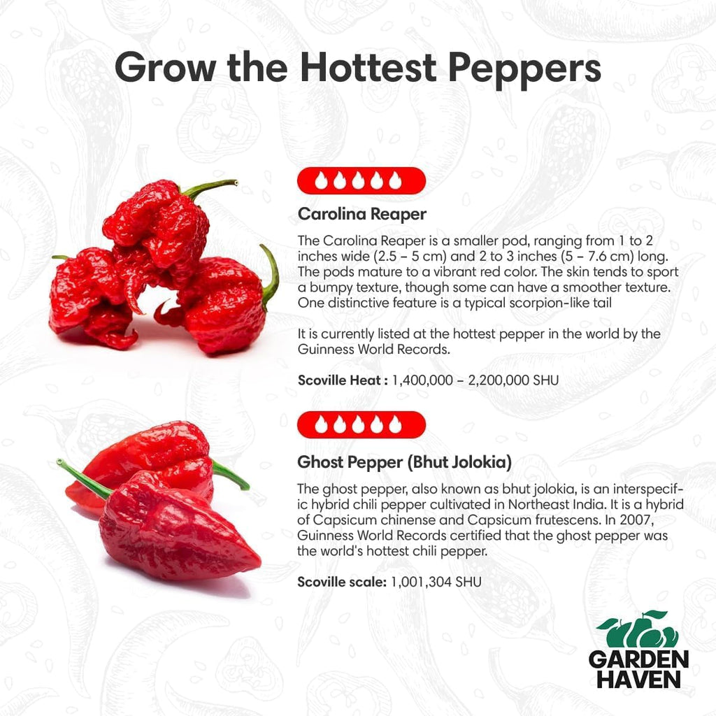 Carolina Reaper Ghost Pepper Grow Kit - All in One Starter Grow Kit - Bhut Jolokia Reaper Seeds, Grow The Hottest Peppers Garden Grow Kit Seeds Included - Garden Haven