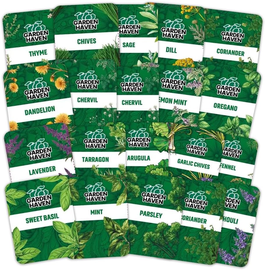 20 HERB Seeds Variety Pack - Complete Grow Kit Culinary Herbs Indoor Outdoors Herb Seeds, Basil, Oregano, Mint, Thyme & More Individually Seed Packets Starter Kit - Garden Haven