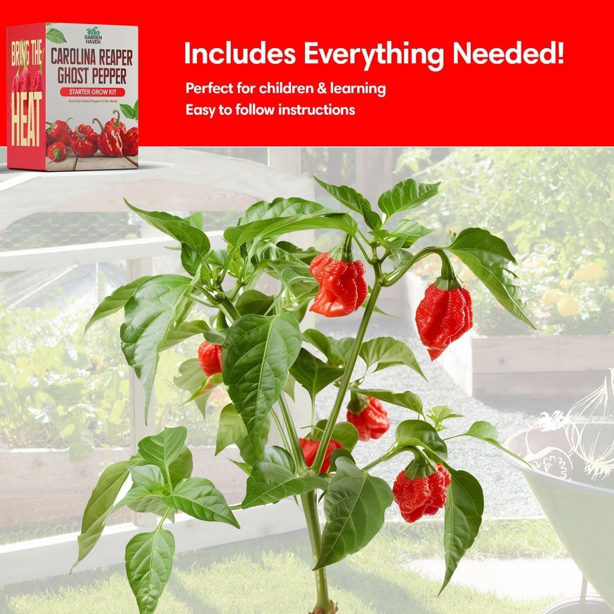Carolina Reaper Ghost Pepper Grow Kit - All in One Starter Grow Kit - Bhut Jolokia Reaper Seeds, Grow The Hottest Peppers Garden Grow Kit Seeds Included - Garden Haven