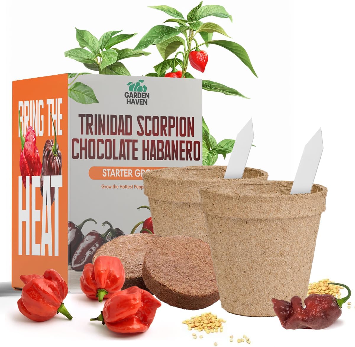 Chocolate Trinidad Scorpion Pepper Seed Starter Kit, Hot Pepper Grow Kit with Peat Pots, Coco Coir Discs, Plant Markers and Instructions, Indoor/Outdoor Growing - Garden Haven