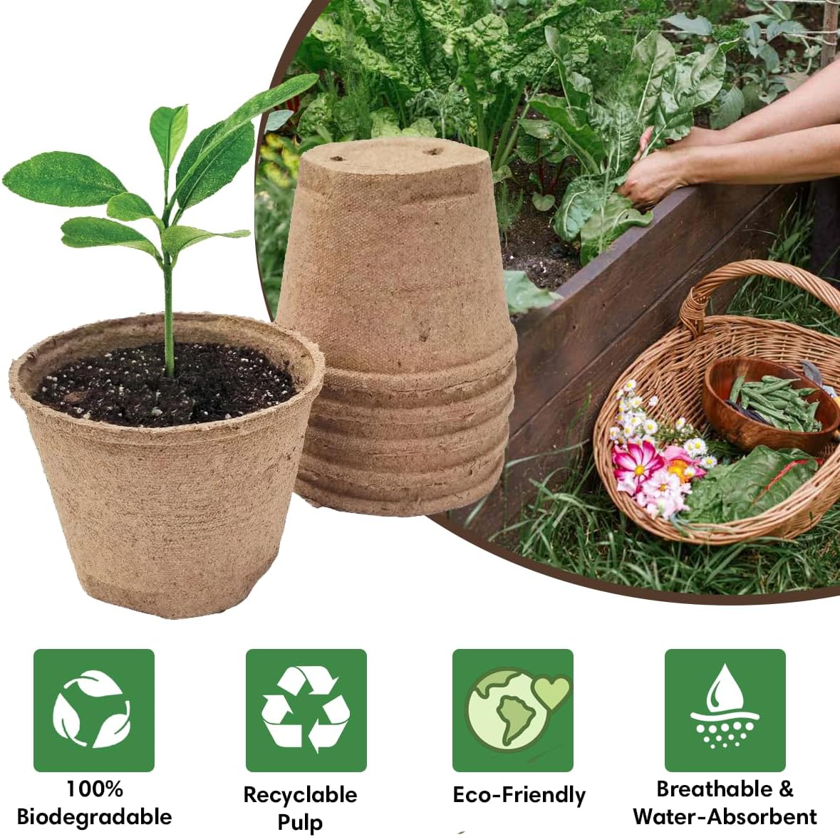 Seedling Starter Kit Germination Grow Cups and Soil (10 Pack) Biodegradable Peat Pots, Coco Coir Soil Discs, Plant Markers - Organic Grow Kit for Seed Germination, Indoor/Outdoor (1) - Garden Haven