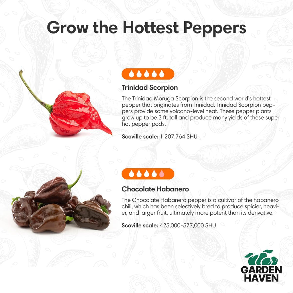 Chocolate Trinidad Scorpion Pepper Seed Starter Kit, Hot Pepper Grow Kit with Peat Pots, Coco Coir Discs, Plant Markers and Instructions, Indoor/Outdoor Growing - Garden Haven