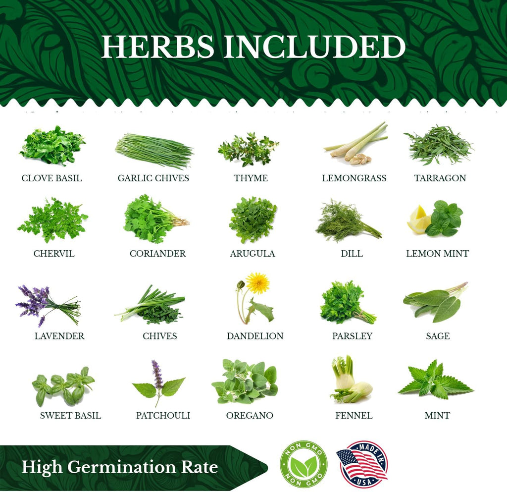 20 HERB Seeds Variety Pack - Complete Grow Kit Culinary Herbs Indoor Outdoors Herb Seeds, Basil, Oregano, Mint, Thyme & More Individually Seed Packets Starter Kit - Garden Haven
