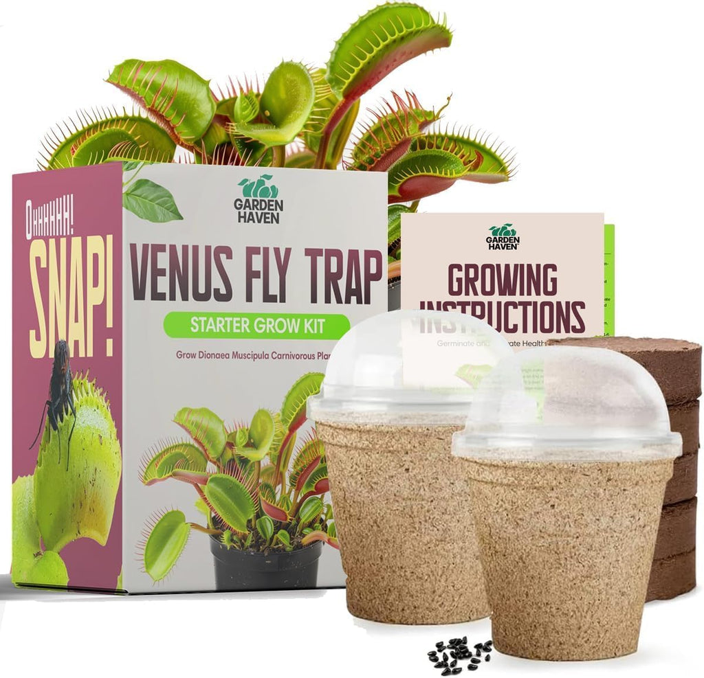 Venus Fly Trap Seeds Growing Starter Kit All in One Carnivorous Plant - Chamber Germination Dionaea Muscipula Perfect to Catch Flies Beginner (2 Pack) - Garden Haven