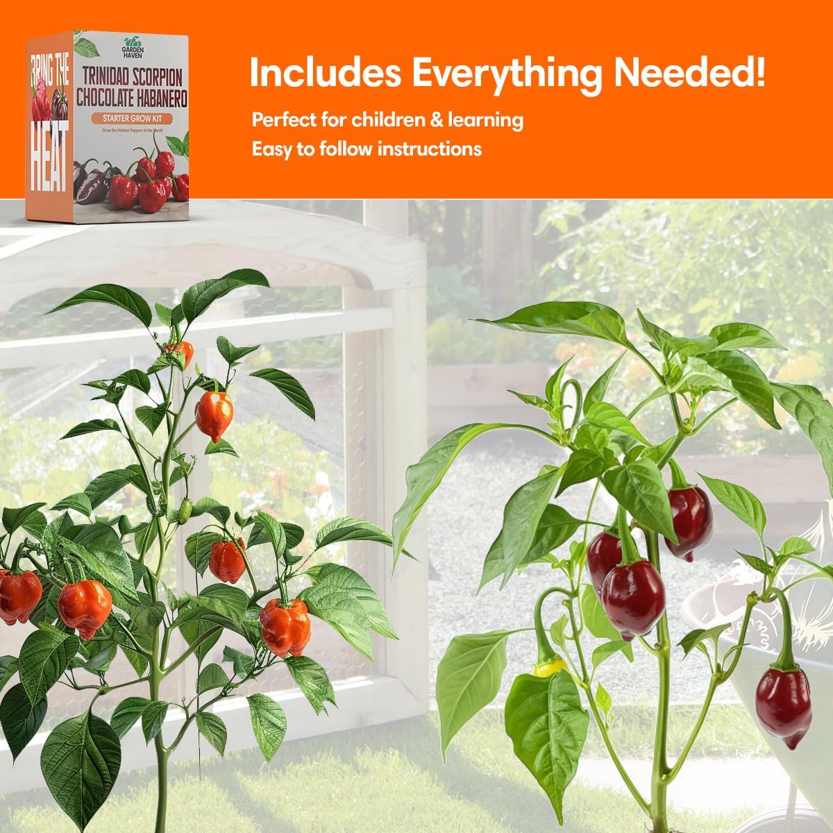 Chocolate Trinidad Scorpion Pepper Seed Starter Kit, Hot Pepper Grow Kit with Peat Pots, Coco Coir Discs, Plant Markers and Instructions, Indoor/Outdoor Growing - Garden Haven
