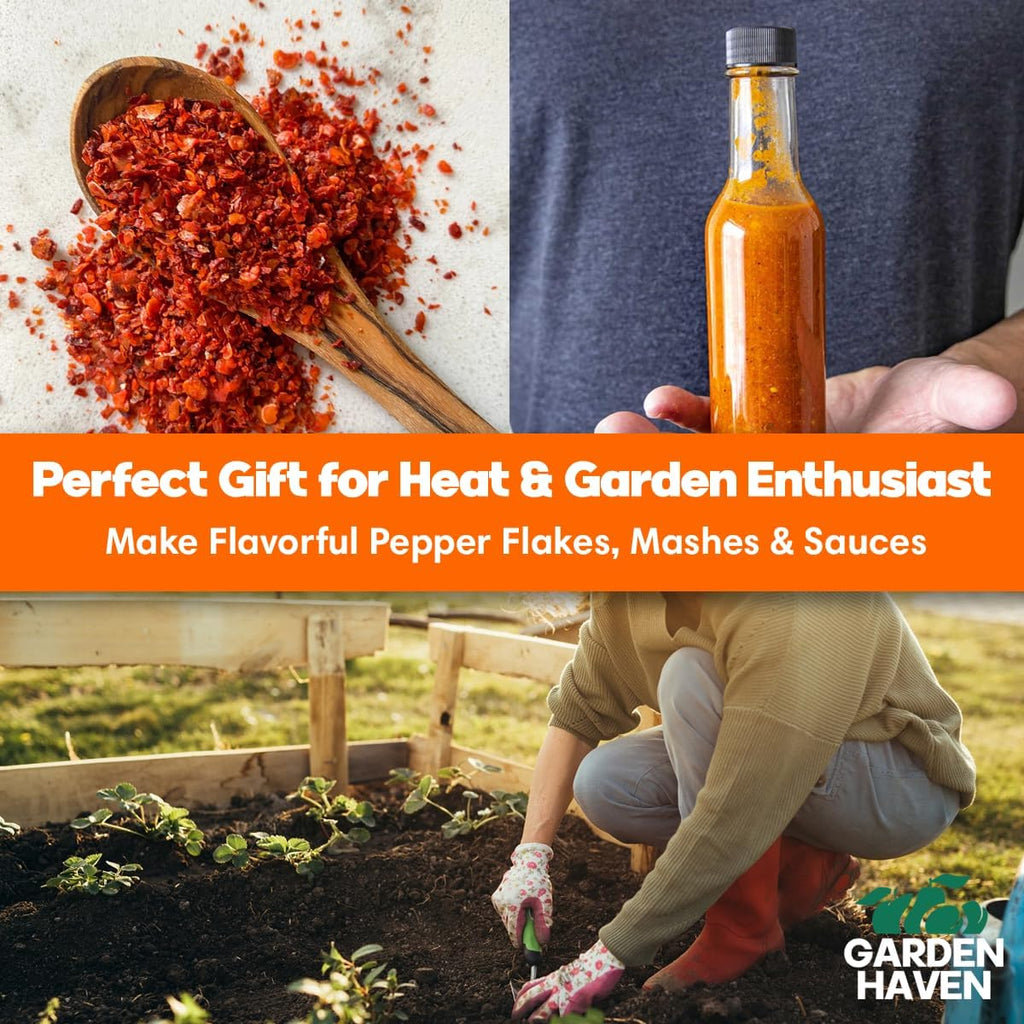 Chocolate Trinidad Scorpion Pepper Seed Starter Kit, Hot Pepper Grow Kit with Peat Pots, Coco Coir Discs, Plant Markers and Instructions, Indoor/Outdoor Growing - Garden Haven