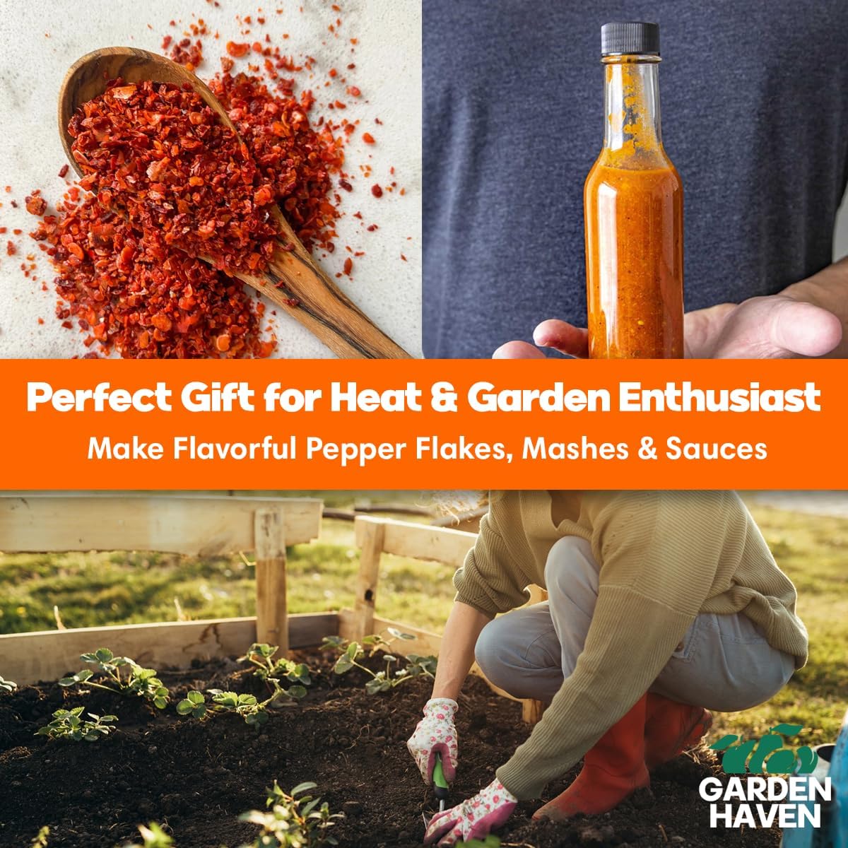 Chocolate Trinidad Scorpion Pepper Seed Starter Kit, Hot Pepper Grow Kit with Peat Pots, Coco Coir Discs, Plant Markers and Instructions, Indoor/Outdoor Growing - Garden Haven