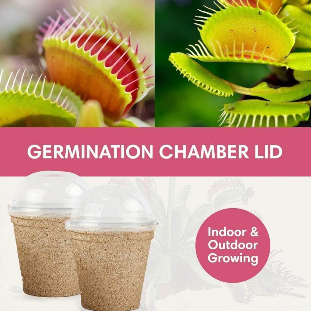 Venus Fly Trap Seeds Growing Starter Kit All in One Carnivorous Plant - Chamber Germination Dionaea Muscipula Perfect to Catch Flies Beginner (2 Pack) - Garden Haven