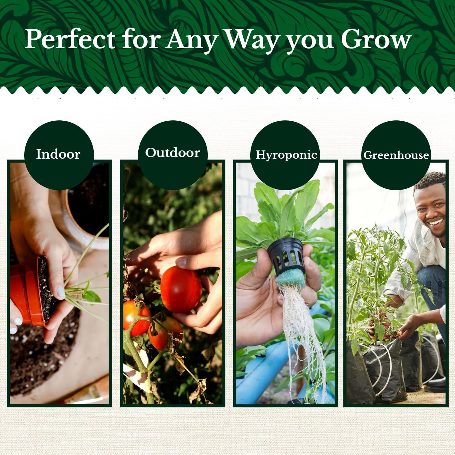 20 HERB Seeds Variety Pack - Complete Grow Kit Culinary Herbs Indoor Outdoors Herb Seeds, Basil, Oregano, Mint, Thyme & More Individually Seed Packets Starter Kit - Garden Haven