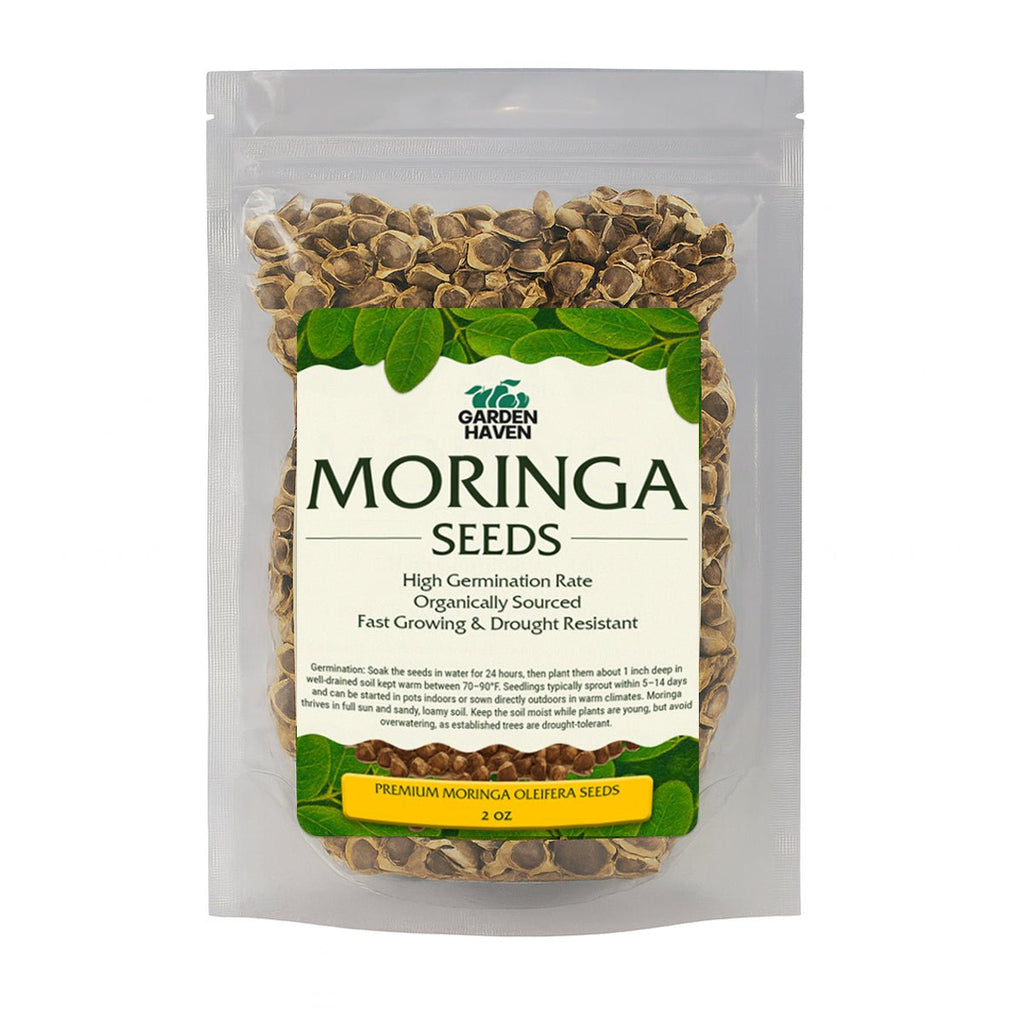 Moringa Oleifera Growing Kit, Moringa Seeds Complete Starter Set with 2 oz Seeds, 5 Peat Pots, Soil Discs, Plant Markers, Fast Growing Drought Resistant - Garden Haven