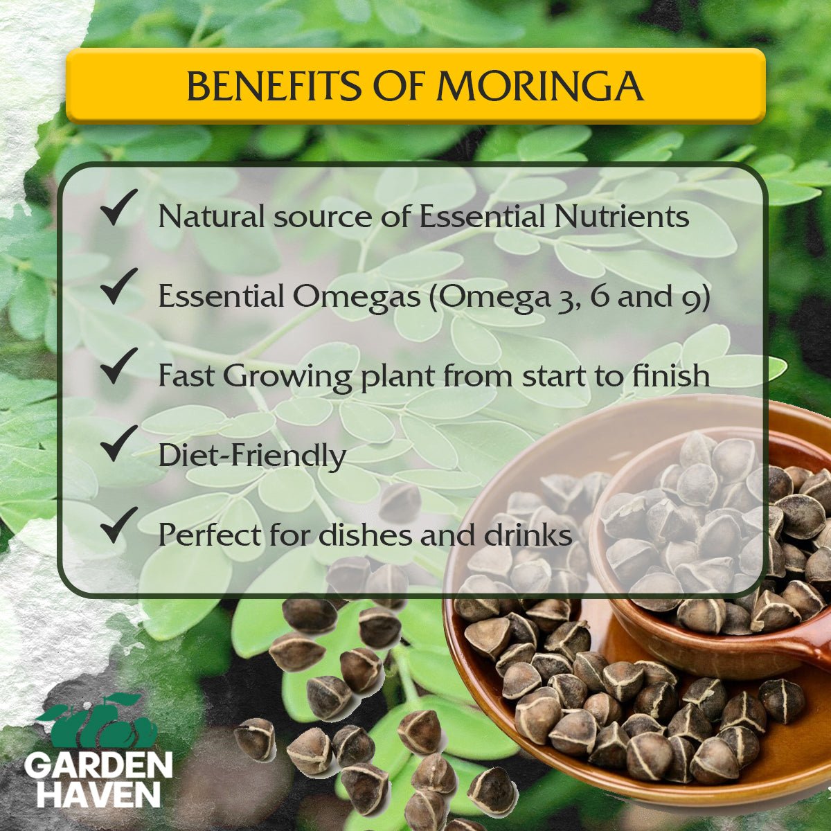 Moringa Oleifera Growing Kit, Moringa Seeds Complete Starter Set with 2 oz Seeds, 5 Peat Pots, Soil Discs, Plant Markers, Fast Growing Drought Resistant - Garden Haven