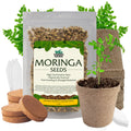 Moringa Oleifera Growing Kit, Moringa Seeds Complete Starter Set with 2 oz Seeds, 5 Peat Pots, Soil Discs, Plant Markers, Fast Growing Drought Resistant - Garden Haven