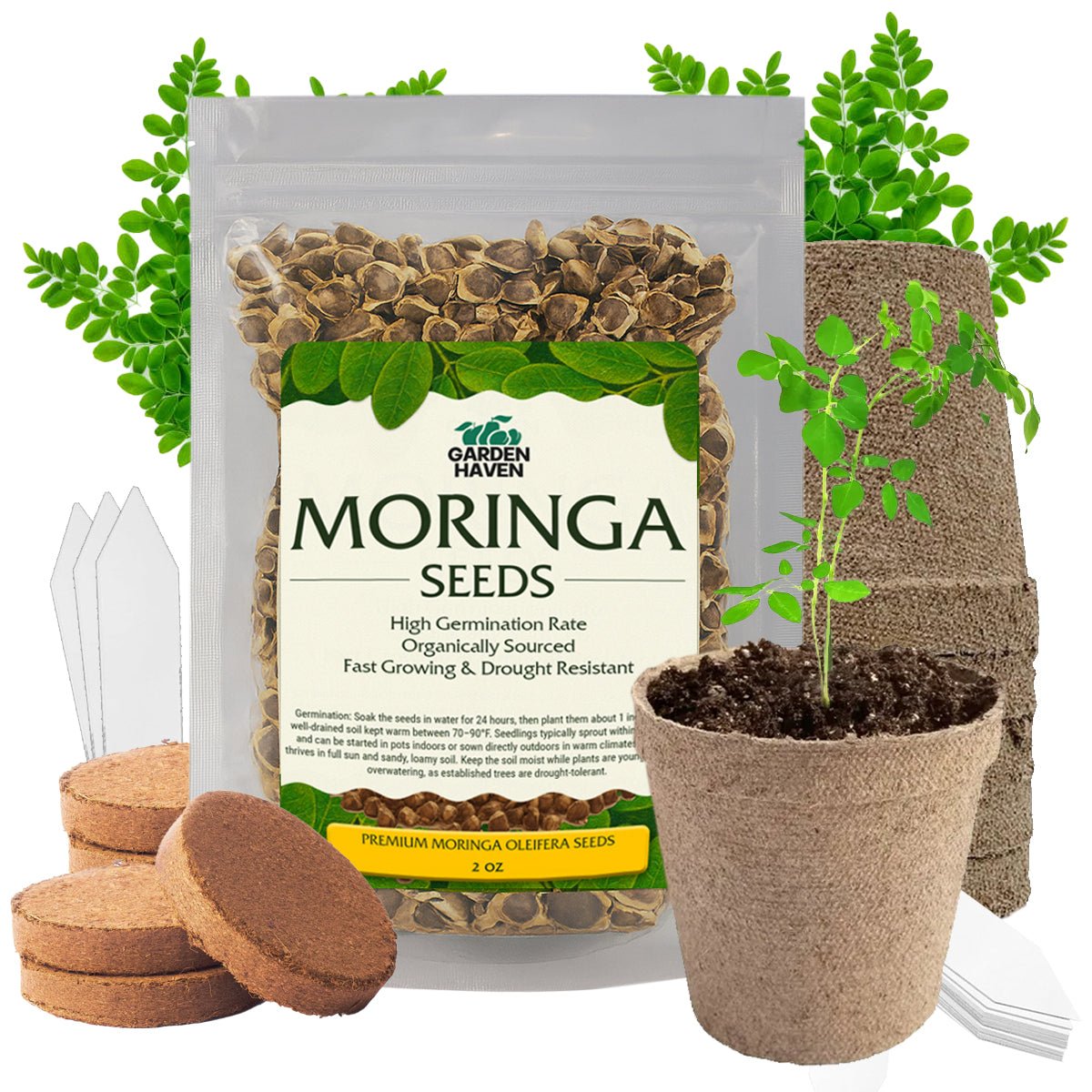 Moringa Oleifera Growing Kit, Moringa Seeds Complete Starter Set with 2 oz Seeds, 5 Peat Pots, Soil Discs, Plant Markers, Fast Growing Drought Resistant - Garden Haven