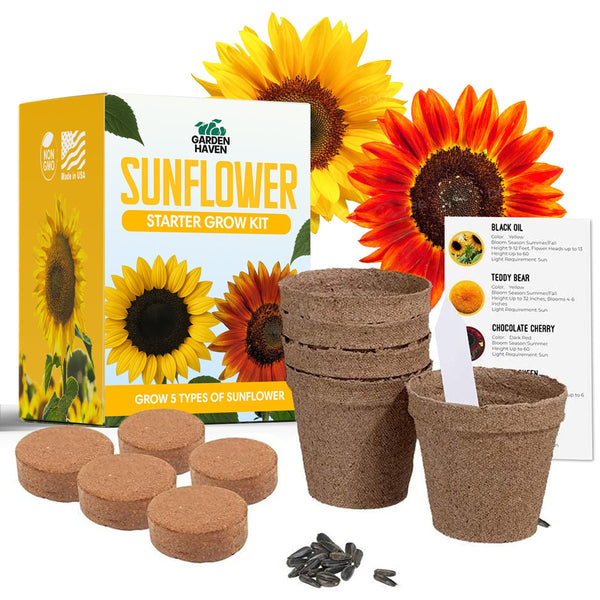 Sunflower Seed Growing Kit - All in One Sun Flower Garden Kit - A Complete Sunflower Gift - Beginner Starter Plants - Seed Variety Pack - Garden Haven