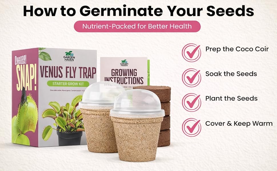Venus Fly Trap Seeds Growing Starter Kit All in One Carnivorous Plant - Chamber Germination Dionaea Muscipula Perfect to Catch Flies Beginner (2 Pack)