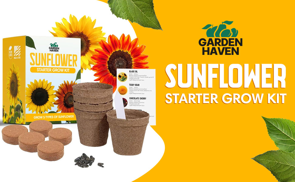 Sunflower Seed Growing Kit -All in One Sun Flower Garden Kit - A Complete Sunflower Gift - Beginner Starter Plants- Seed Variety Pack