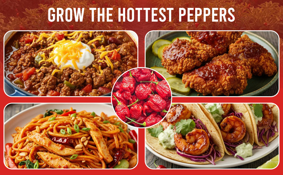 Carolina Reaper Ghost Pepper Grow Kit - All in One Starter Grow Kit - Bhut Jolokia Reaper Seeds, Grow The Hottest Peppers Garden Grow Kit Seeds Included